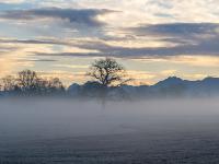 Leuchtende Morgenstimmung nahe Prien-Schafwaschen mit Nebel über Frostwiese